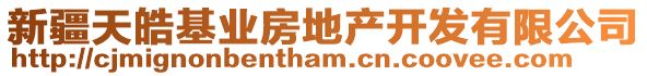 新疆天皓基業(yè)房地產(chǎn)開(kāi)發(fā)有限公司