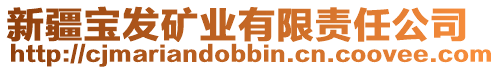 新疆寶發(fā)礦業(yè)有限責(zé)任公司