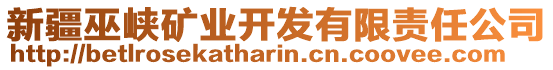 新疆巫峡矿业开发有限责任公司