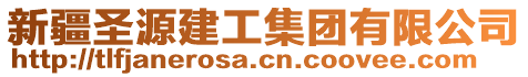 新疆圣源建工集团有限公司