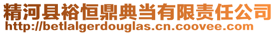 精河縣裕恒鼎典當(dāng)有限責(zé)任公司