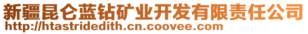 新疆昆侖藍鉆礦業(yè)開發(fā)有限責任公司