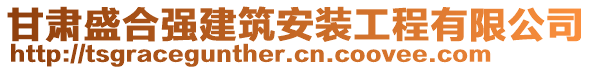 甘肅盛合強建筑安裝工程有限公司