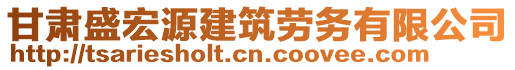 甘肅盛宏源建筑勞務(wù)有限公司