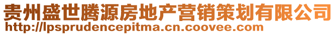 贵州盛世腾源房地产营销策划有限公司