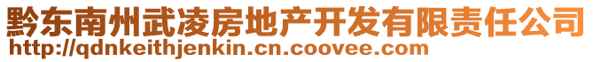 黔东南州武凌房地产开发有限责任公司