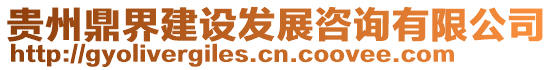 貴州鼎界建設(shè)發(fā)展咨詢有限公司