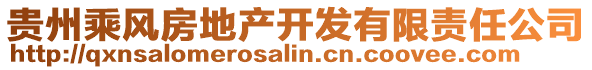 贵州乘风房地产开发有限责任公司