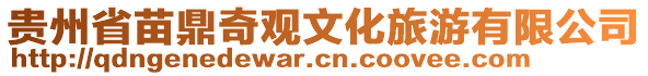 贵州省苗鼎奇观文化旅游有限公司