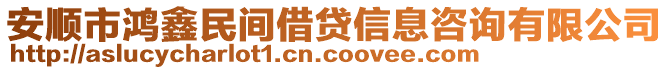 安順市鴻鑫民間借貸信息咨詢有限公司