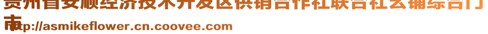 貴州省安順經(jīng)濟(jì)技術(shù)開發(fā)區(qū)供銷合作社聯(lián)合社幺鋪綜合門
市