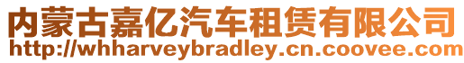 內(nèi)蒙古嘉億汽車租賃有限公司