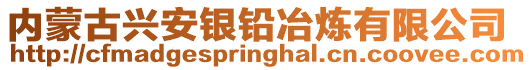 內(nèi)蒙古興安銀鉛冶煉有限公司