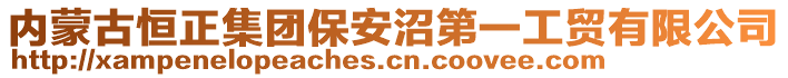 内蒙古恒正集团保安沼第一工贸有限公司