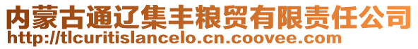 内蒙古通辽集丰粮贸有限责任公司