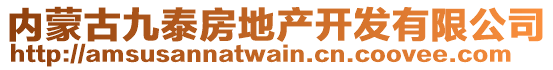 內(nèi)蒙古九泰房地產(chǎn)開發(fā)有限公司