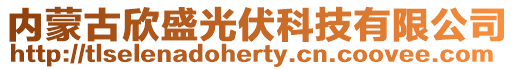 内蒙古欣盛光伏科技有限公司