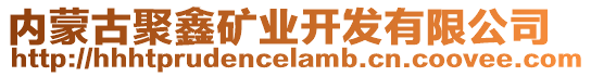 內(nèi)蒙古聚鑫礦業(yè)開發(fā)有限公司