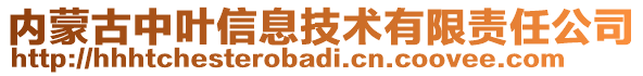 內(nèi)蒙古中葉信息技術(shù)有限責(zé)任公司