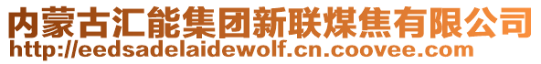 內(nèi)蒙古匯能集團(tuán)新聯(lián)煤焦有限公司