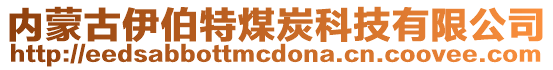 內(nèi)蒙古伊伯特煤炭科技有限公司