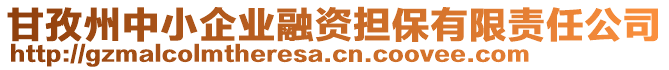 甘孜州中小企業(yè)融資擔(dān)保有限責(zé)任公司