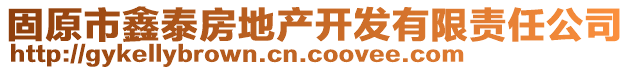 固原市鑫泰房地產(chǎn)開發(fā)有限責(zé)任公司