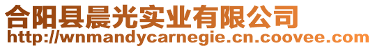 合陽縣晨光實業(yè)有限公司