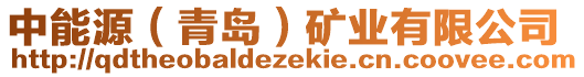 中能源（青島）礦業(yè)有限公司