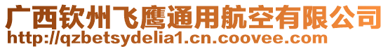 廣西欽州飛鷹通用航空有限公司