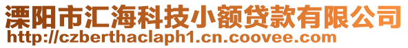 溧陽市匯?？萍夹☆~貸款有限公司