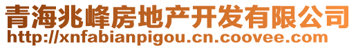 青海兆峰房地產(chǎn)開發(fā)有限公司