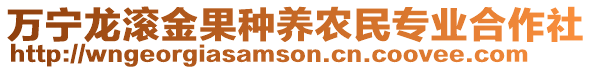 萬寧龍滾金果種養(yǎng)農(nóng)民專業(yè)合作社