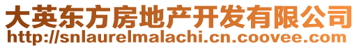 大英東方房地產(chǎn)開發(fā)有限公司