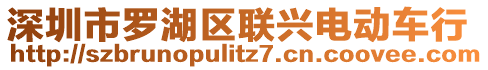 深圳市羅湖區(qū)聯(lián)興電動車行