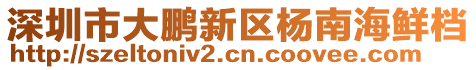 深圳市大鹏新区杨南海鲜档