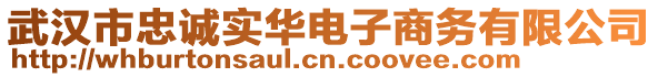 武漢市忠誠(chéng)實(shí)華電子商務(wù)有限公司