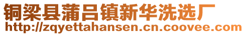 铜梁县蒲吕镇新华洗选厂