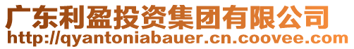 廣東利盈投資集團(tuán)有限公司