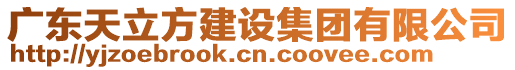 廣東天立方建設(shè)集團(tuán)有限公司