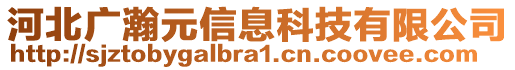 河北廣瀚元信息科技有限公司