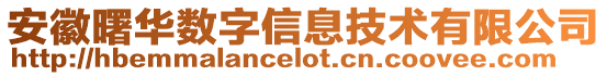 安徽曙华数字信息技术有限公司