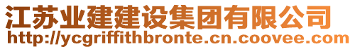 江蘇業(yè)建建設(shè)集團(tuán)有限公司