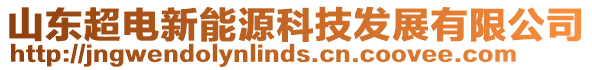 山東超電新能源科技發(fā)展有限公司