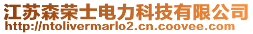 江苏森荣士电力科技有限公司