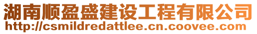 湖南順盈盛建設工程有限公司