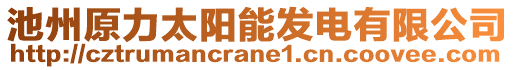 池州原力太陽(yáng)能發(fā)電有限公司