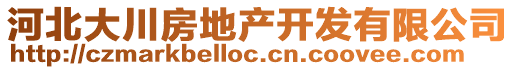 河北大川房地产开发有限公司