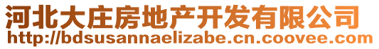 河北大莊房地產(chǎn)開(kāi)發(fā)有限公司