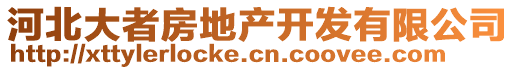 河北大者房地产开发有限公司